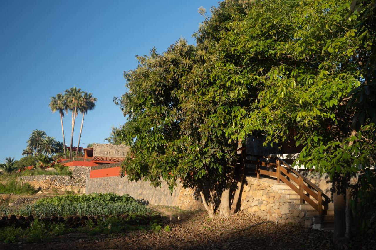 Finca Pico Los Realejos Exterior foto